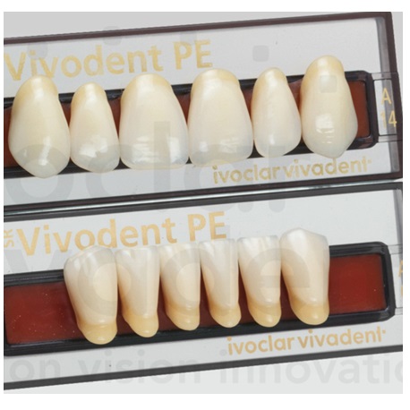 SR Vivodent PE Shade 310/3A, A10 Lower Anterior